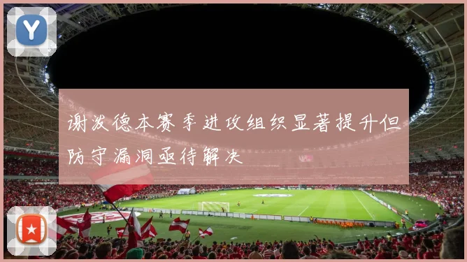 谢泼德本赛季进攻组织显著提升但防守漏洞亟待解决