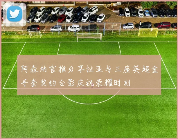 阿森纳官推分享拉亚与三座英超金手套奖的合影庆祝荣耀时刻